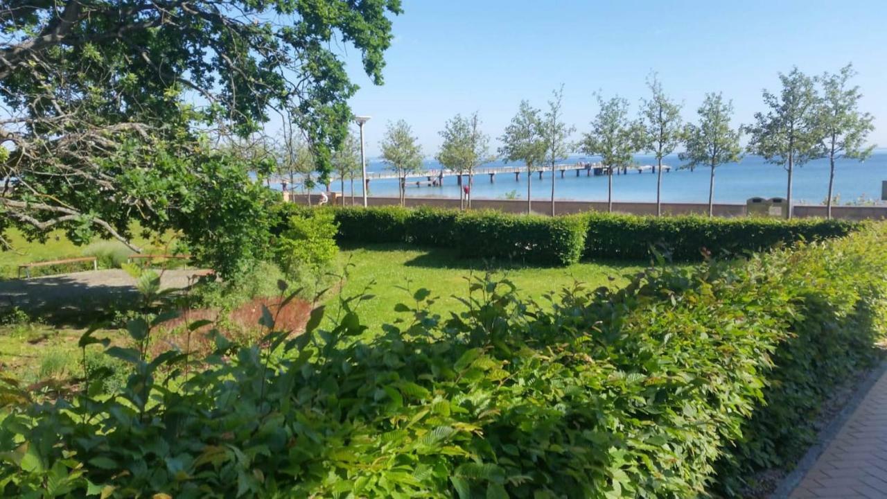 Villa Mia Nr 1 Mit Terrasse Eg 1 Raum Wohnung Goehren  Εξωτερικό φωτογραφία